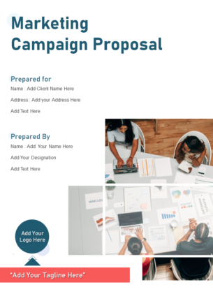 Marketing campaign proposal example document report doc pdf ppt