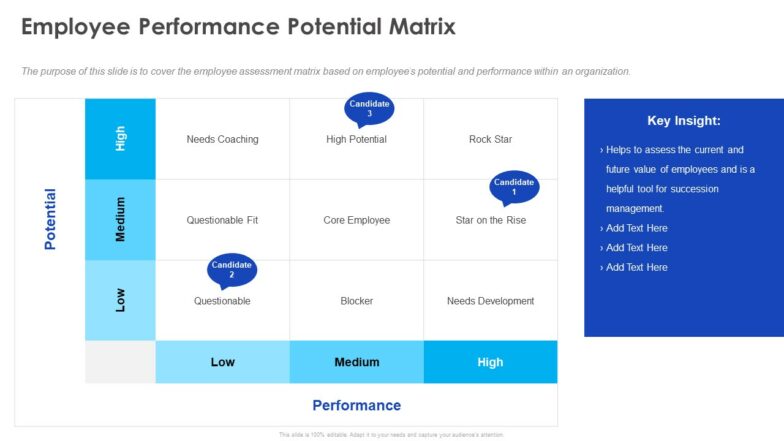 Employee performance potential matrix ppt powerpoint presentation infographic