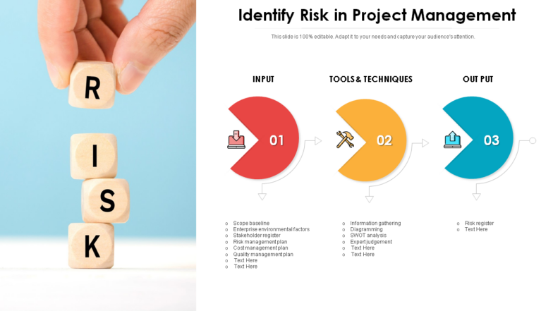 Identify risk in project management