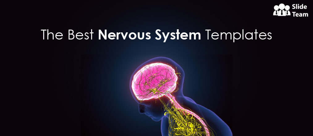 The Nervous System in 17 Templates