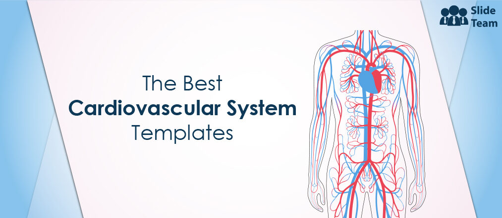 Matters of the Cardiovascular System: Top 8 Templates to Know Its Mystery [Free PDF Attached]