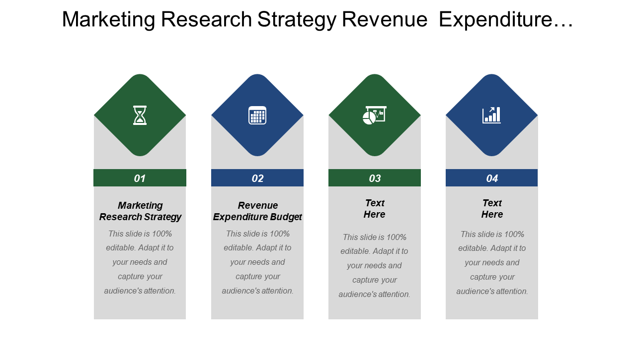 Revenue Expenditure Budget And Marketing Strategy PPT Layout
