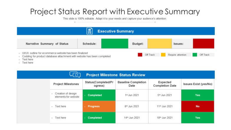 Project status report with executive summary PPT Template