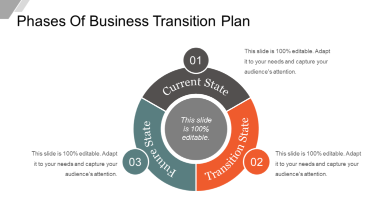 Phases of business transition plan sample of ppt presentation