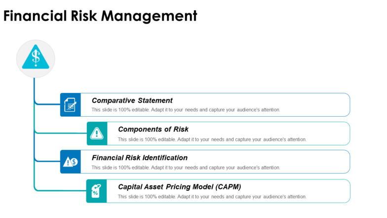 Financial risk management ppt layouts files