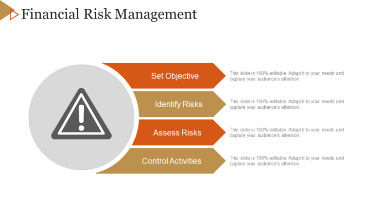 Financial Risk Management Powerpoint Themes