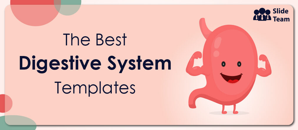 The Digestive System in 17 PowerPoint Templates - The SlideTeam Blog