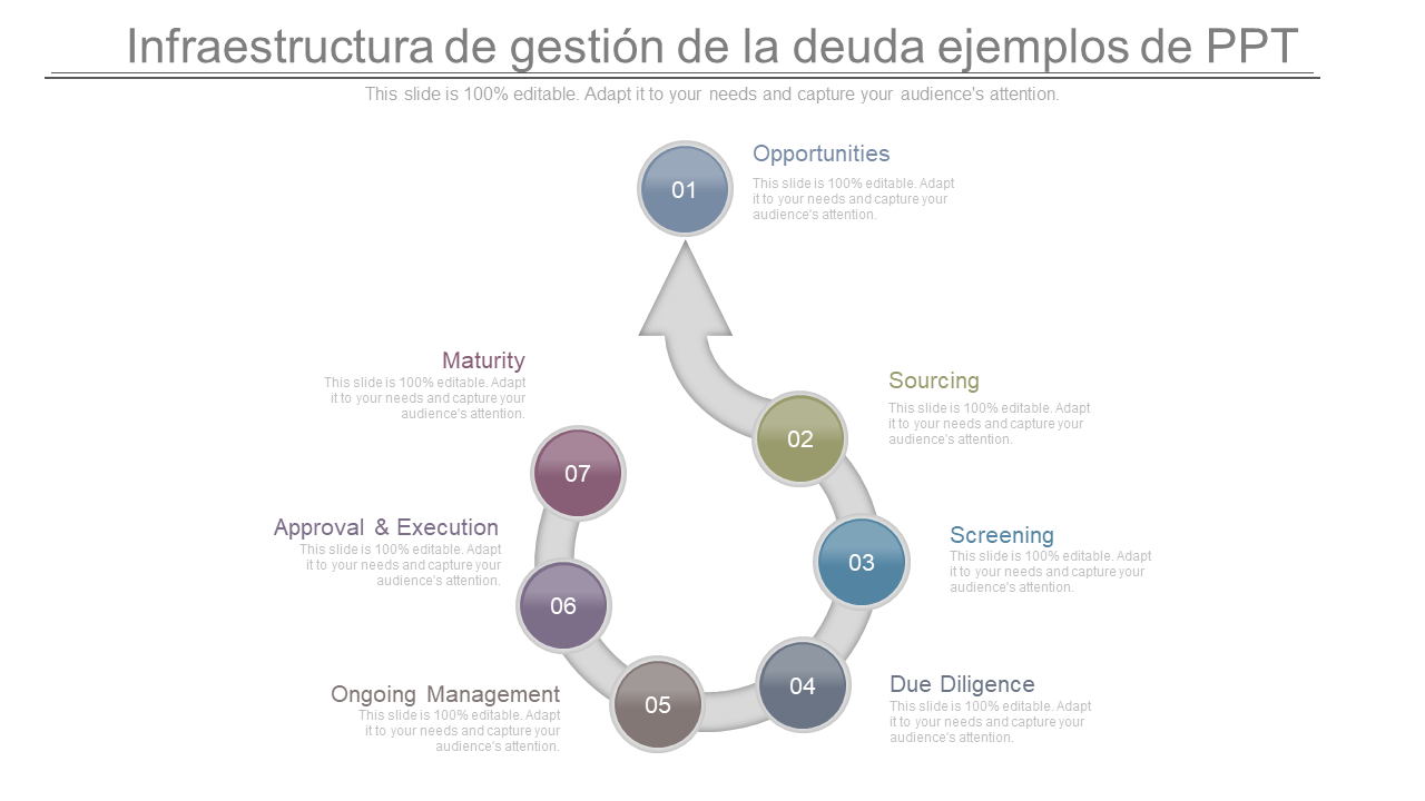 Infraestructura de gesti&oacute;n de la deuda ejemplos de PPT
