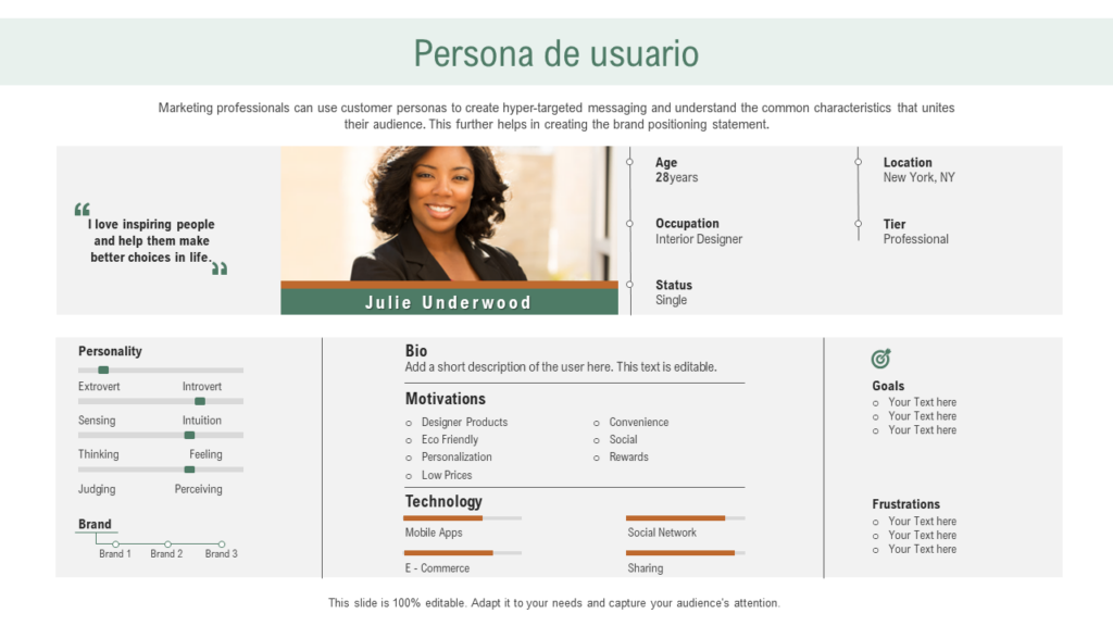 Presentación PPT de la persona del usuario Presentación PPT de la persona del usuario