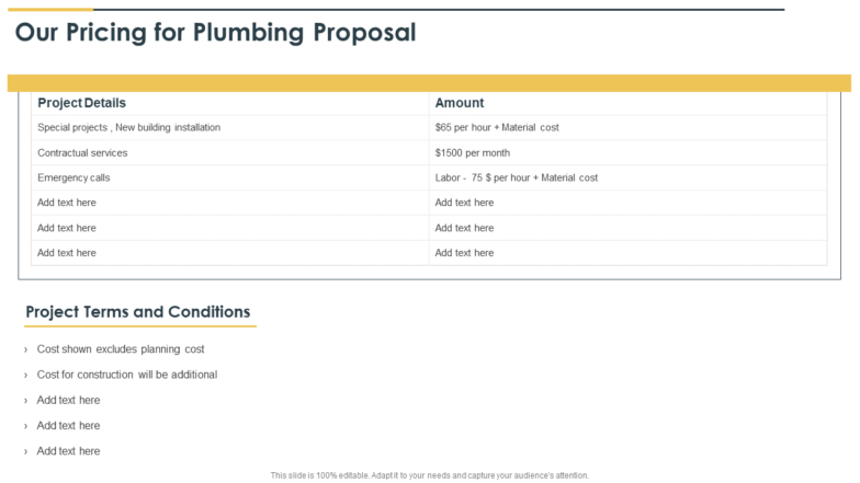 Our pricing for plumbing proposal ppt template