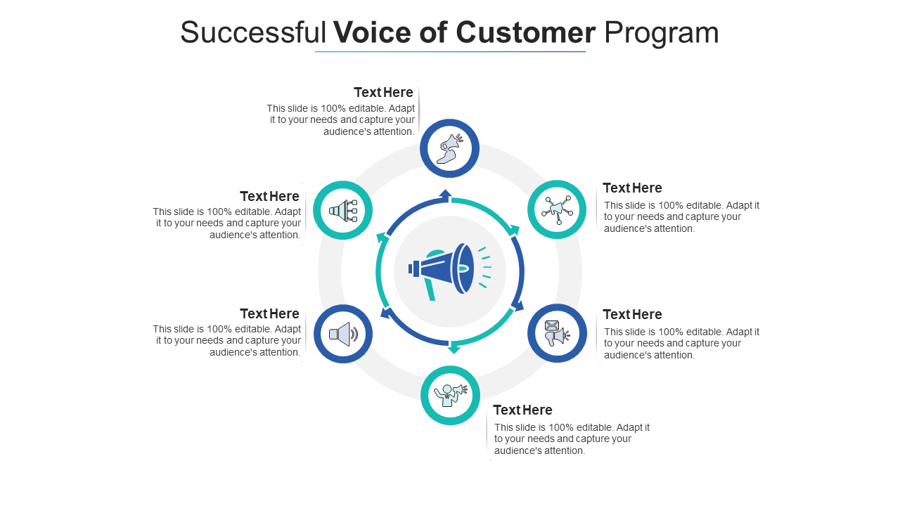 Successful voice of customer program infographic template