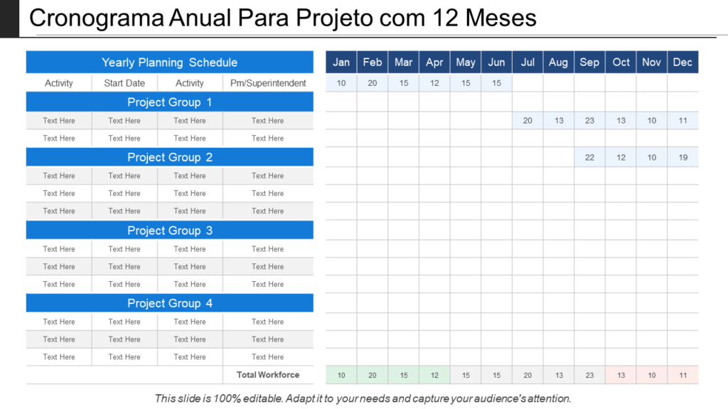 Cronograma Anual Para Projeto com 12 Meses