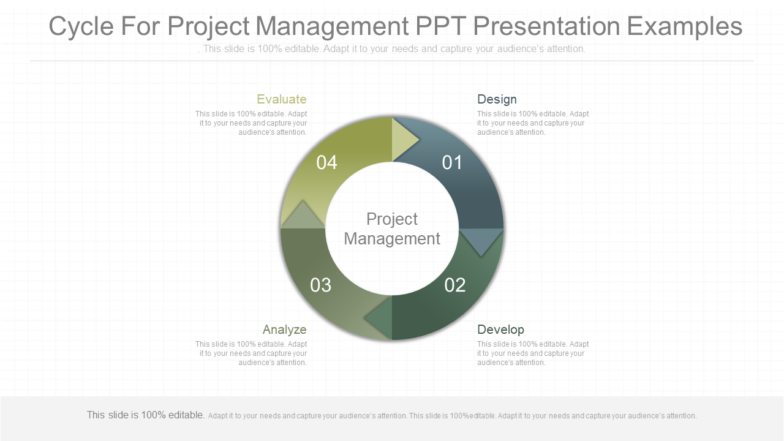 Cycle For Project Management PPT Presentation Examples PPT Template