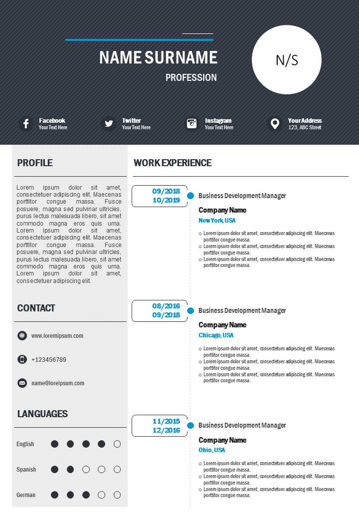 curriculum vitae powerpoint template for job application wd