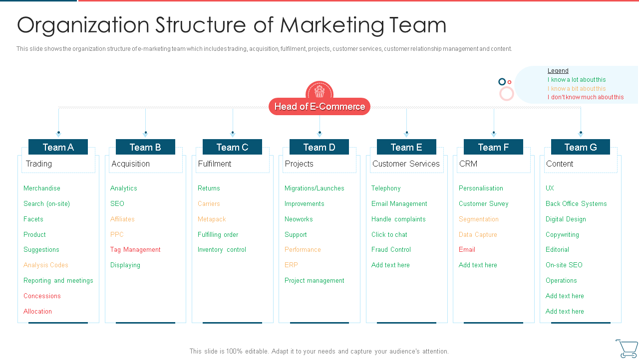 organization structure of marketing team developing e commerce marketing plan 