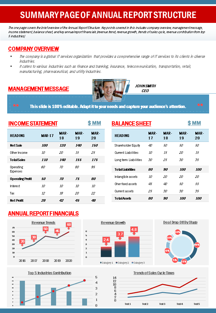 summary page of annual report structure presentation report infographic ppt pdf document wd 