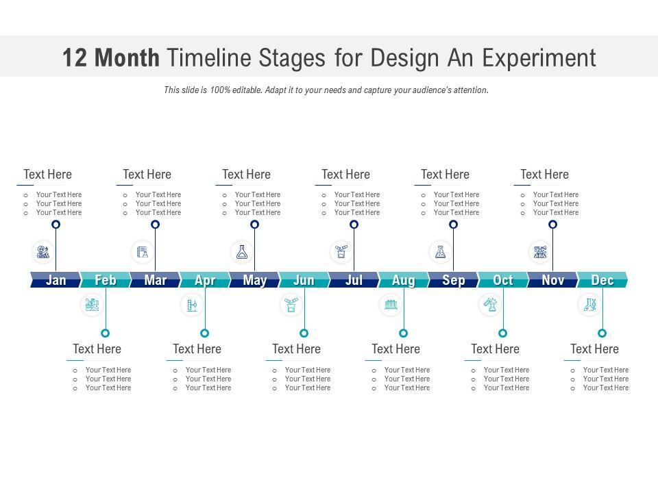 12-month Timeline Stages to design an Experiment Infographic Template