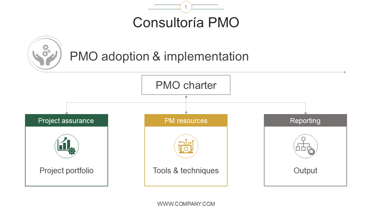 Consultor&iacute;a PMO 