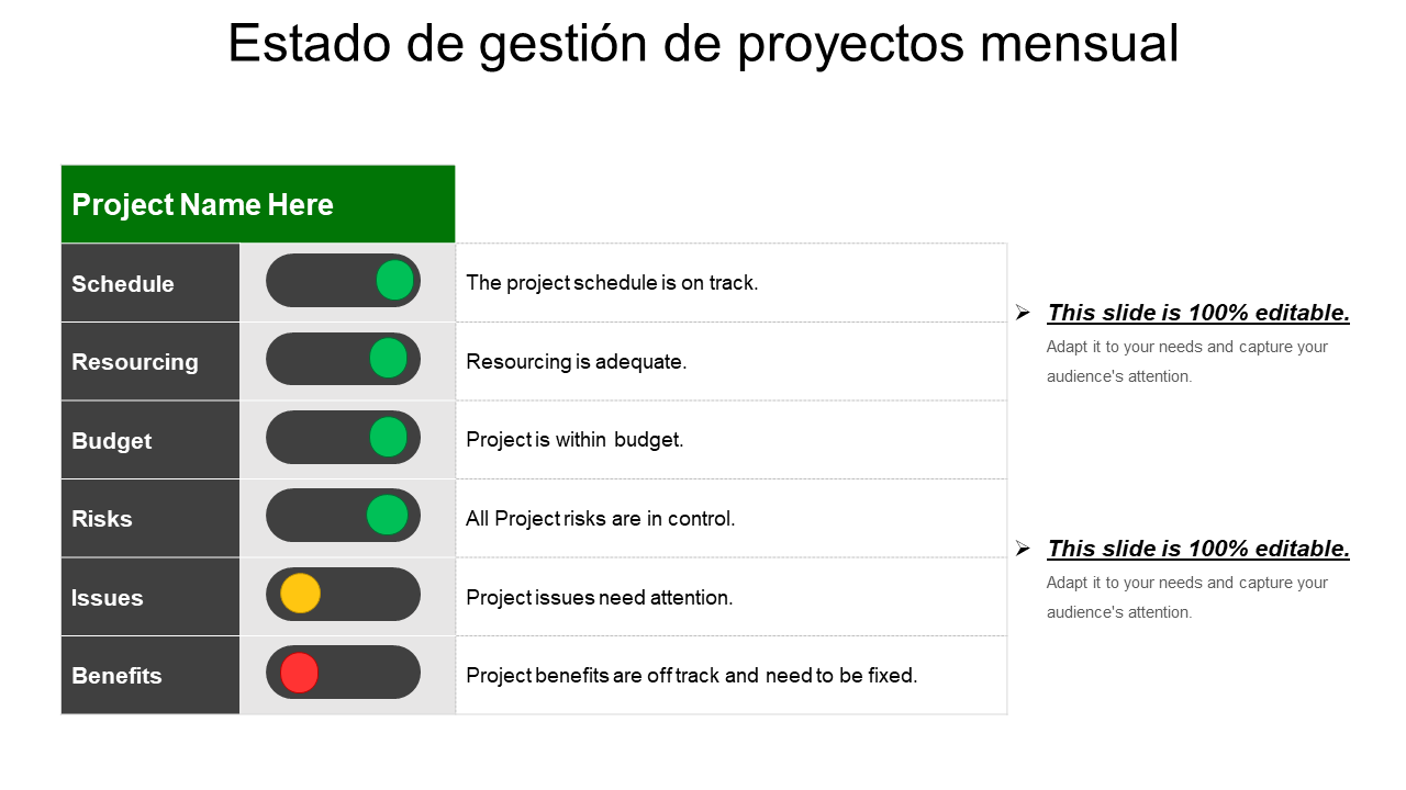 Estado de gesti&oacute;n de proyectos mensual 