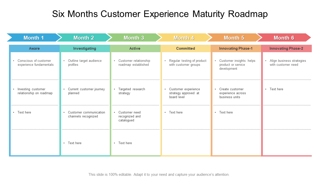 Six Months Customer Experience Maturity Roadmap PPT