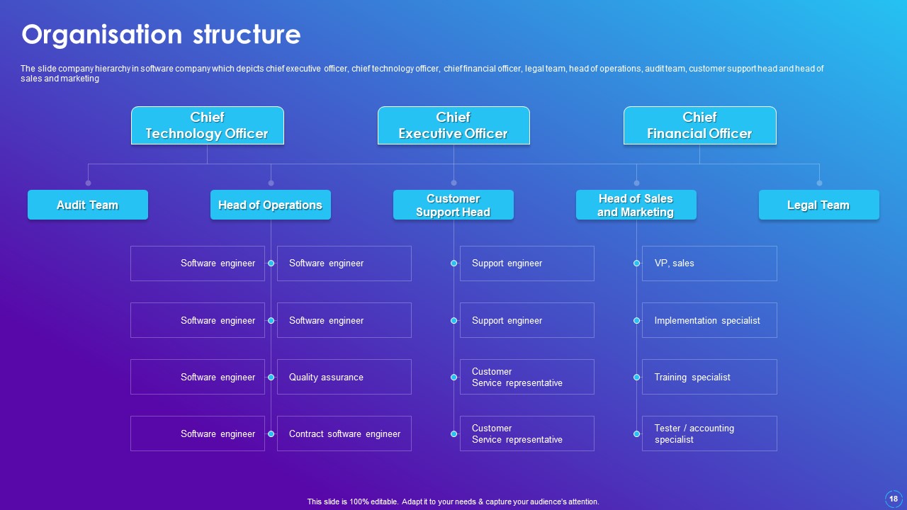 Software Company Profile Structure