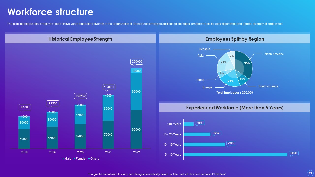 Software Company Profile Workforce Structure
