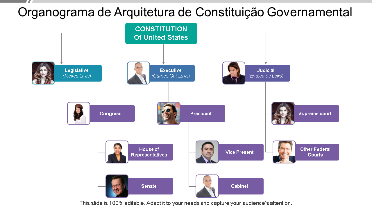 organograma de arquitetura de constituição do governo wd 