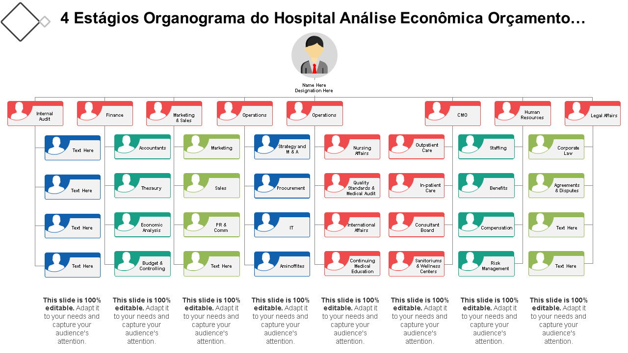 organograma hospitalar em 4 estágios análise econômica orçamento e controle wd 
