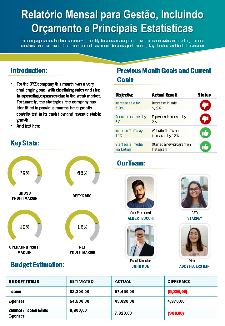 relatório mensal para gerenciamento, incluindo orçamento e apresentação de estatísticas importantes relatório infográfico ppt documento pdf wd