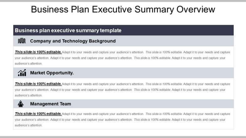 Business plan executive summary overview powerpoint graphics