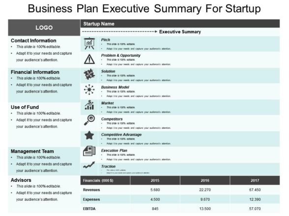 Business plan executive summary for startup sample of ppt