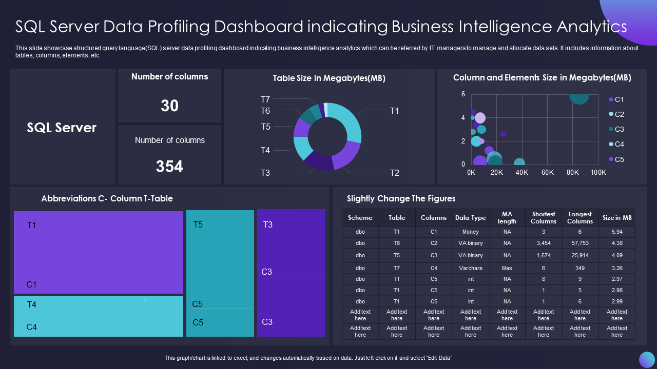 Business Intelligence Dashboard Template for SQL Data Profiling