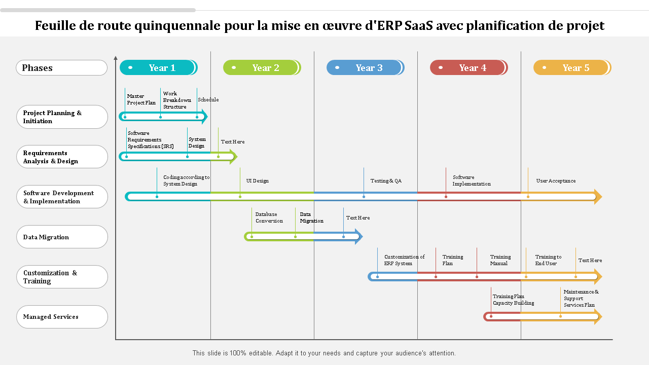 Feuille de route quinquennale pour la mise en œuvre d'ERP SaaS avec planification de projet