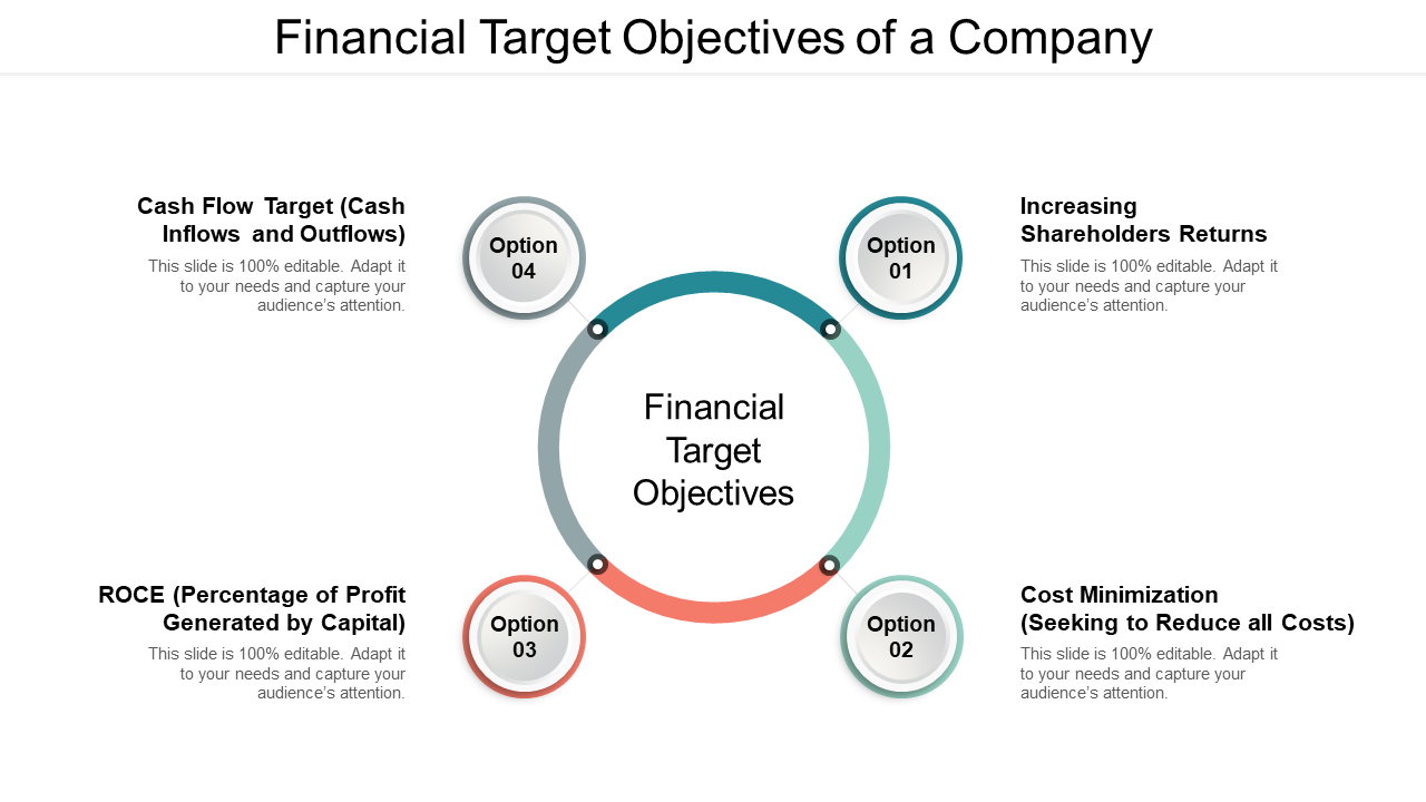 Financial target objectives of a company