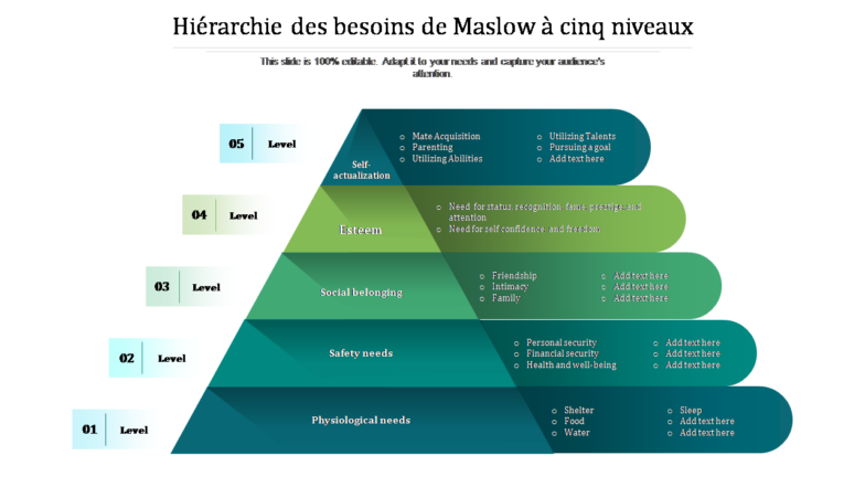 Hiérarchie des besoins de Maslow à cinq niveaux 