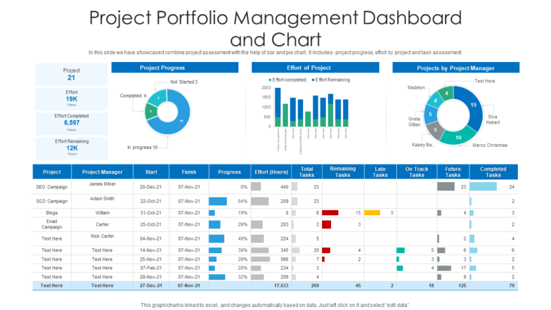 Project Portfolio Management Dashboard PPT Template