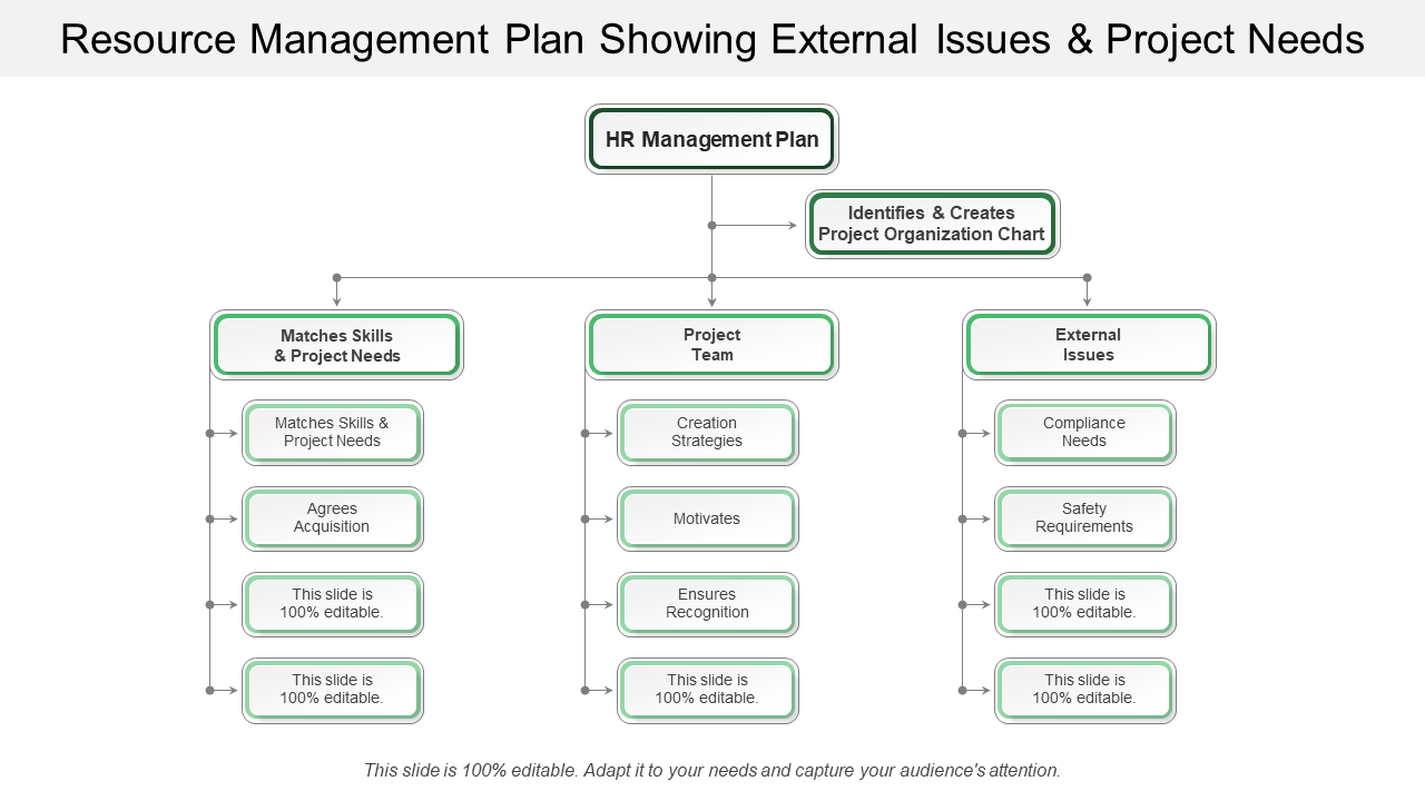 Resource management plan showing external issues and project needs