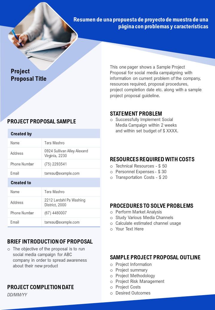 Resumen de una propuesta de proyecto de muestra de una página con problemas y características 