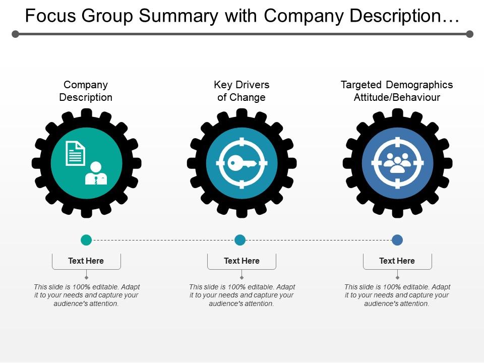 Focus group summary with company description key drivers and demographics 