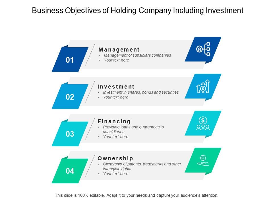 Business Objectives Of Holding Company Including Investment