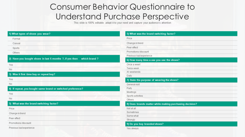 Consumer Behavior Questionnaire PPT Slide