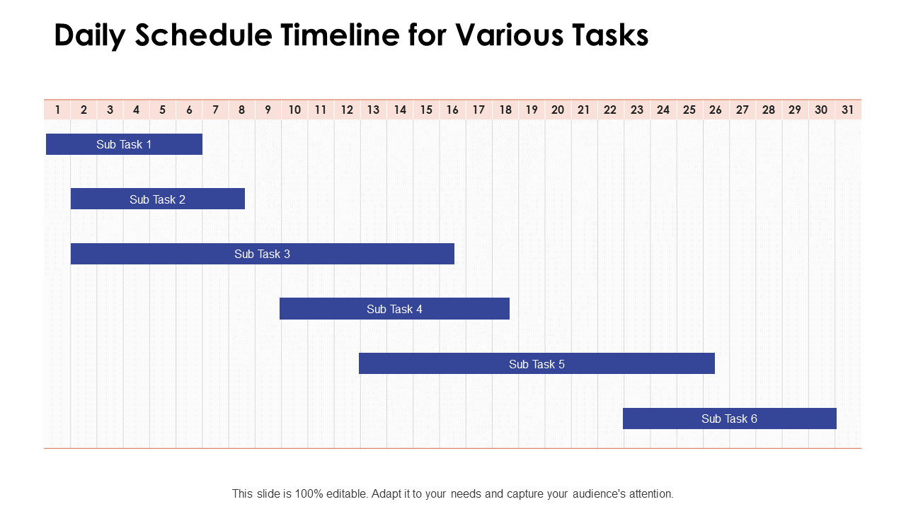 Daily Schedule Timeline for Various Tasks