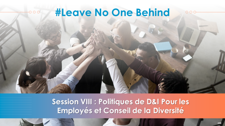 Session VIII : Politiques de D&I pour les employés et Conseil de la diversité