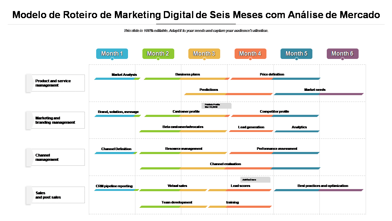Modelo de Roteiro de Marketing Digital de Seis Meses com Análise de Mercado 