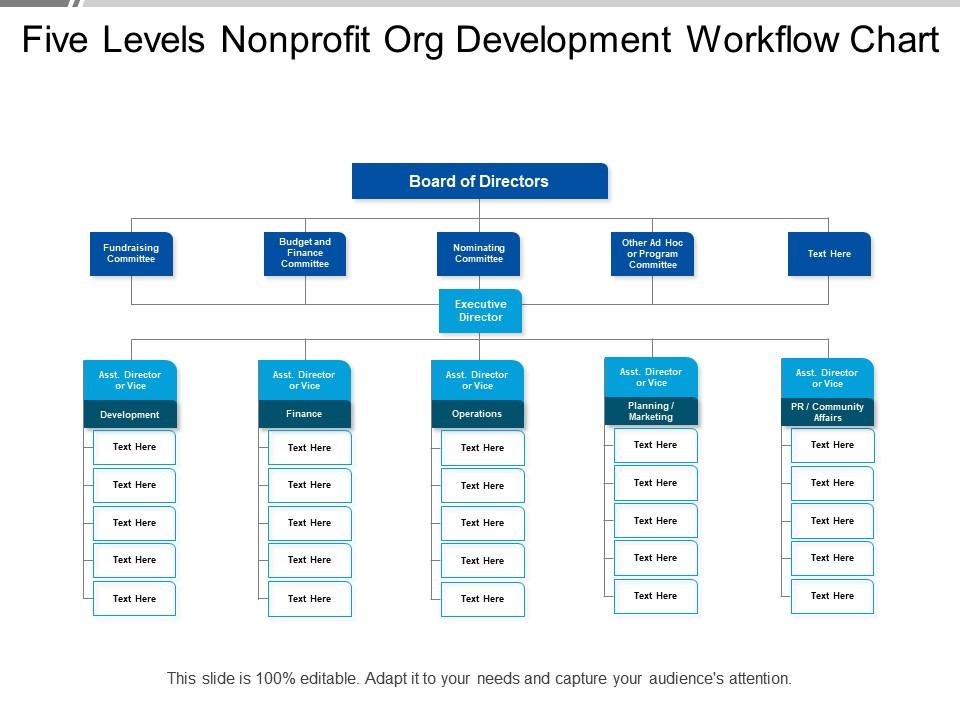 Non-profit Five Levels Org Development Workflow Chart