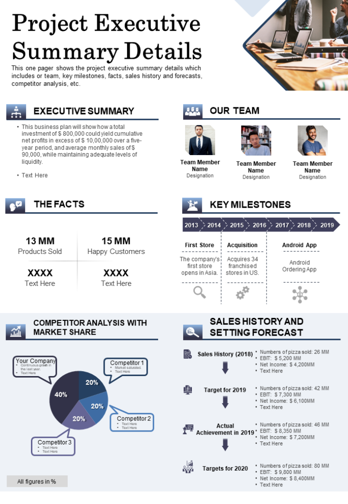 Project Executive Summary Report PPT Graphic