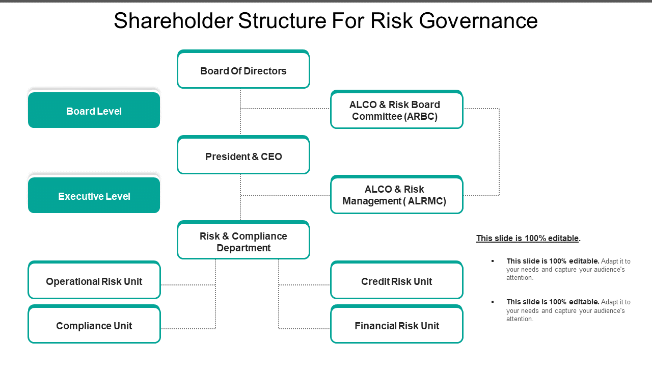 Risk Governance Structure Template for Organization Levels