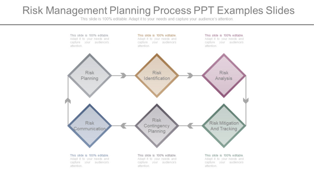 Risk Management Planning Process