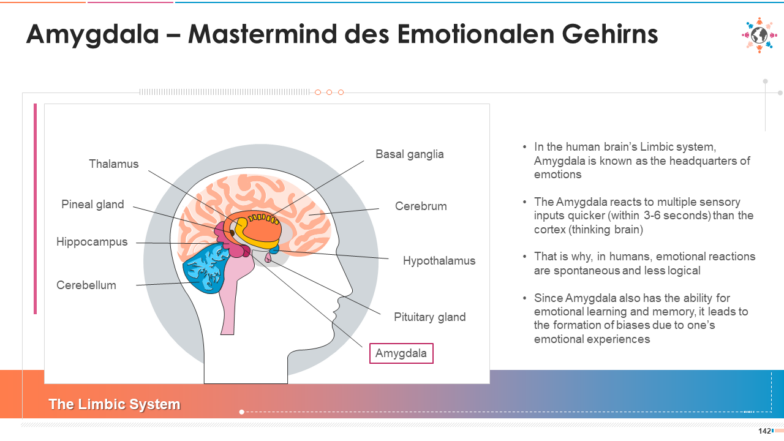 Amygdala – Mastermind des emotionalen Gehirns