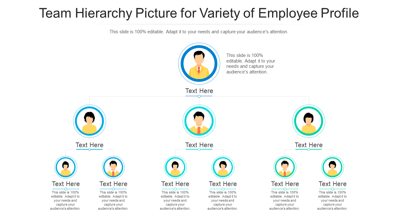 Team Hierarchy Picture for Variety of Employee Profile